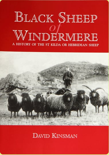 Black Sheep of Windermere