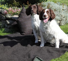 The Hebridean Woolhouse